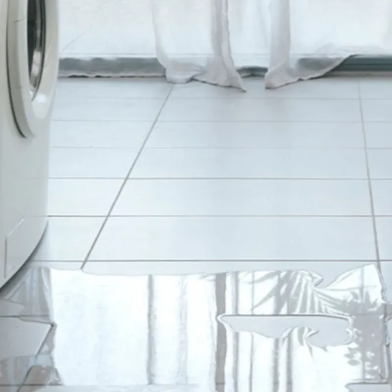 Appliance Leak Cleanup in Huntingburg, IN
