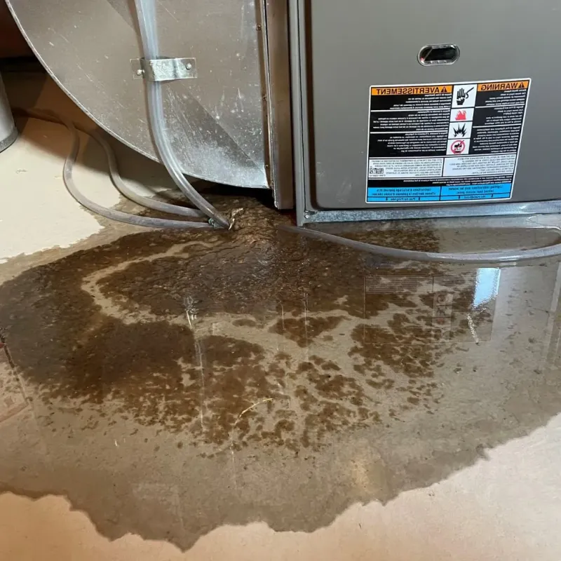 Pipe Burst and Leak Restoration in Huntingburg, IN