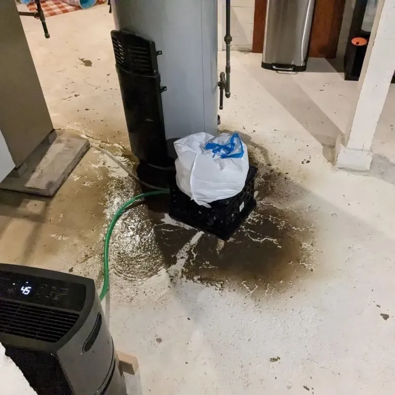 Sewage Backup Cleanup Service in Huntingburg, IN